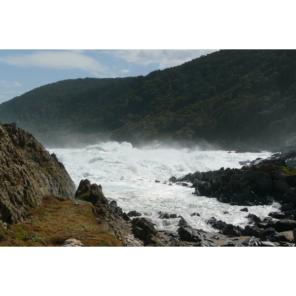 รูปถ่าย แอฟริกาใต้(South Africa) อุทยานแห่งชาติซิตซิคัมมา(Tsitsikamma National Park) 2008-09 403