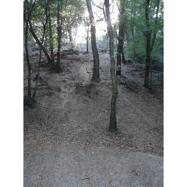 รูปถ่าย ฝรั่งเศส(France) วีลเนิฟ-ลูแบ(Villeneuve Loubet) สวนโวเกรอนีเย(Parc de Vaugrenier) 2006-09 14