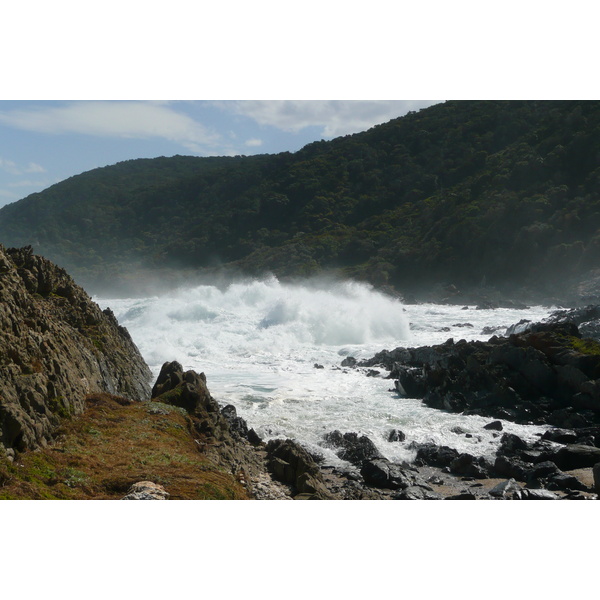รูปถ่าย แอฟริกาใต้(South Africa) อุทยานแห่งชาติซิตซิคัมมา(Tsitsikamma National Park) 2008-09 337