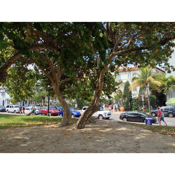 รูปถ่าย สหรัฐอเมริกา(United States) ไมแอมีบีช(Miami Beach) 2015-03 120