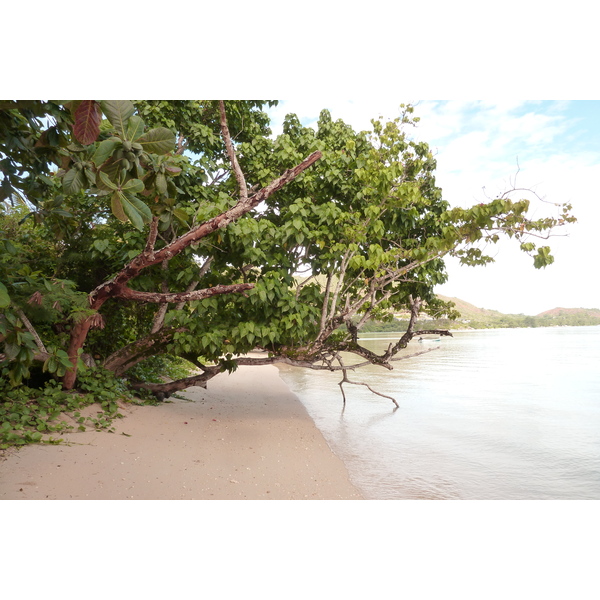 รูปถ่าย เซเชลส์(Seychelles) อ่าวอ็องส์ปอสเซสซียง(Anse Possession) 2011-10 37
