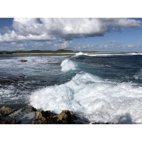 รูปถ่าย กวาเดอลูป(Guadeloupe) แหลมคาสเซิลพอยต์(Castle Point) 2021-02 343