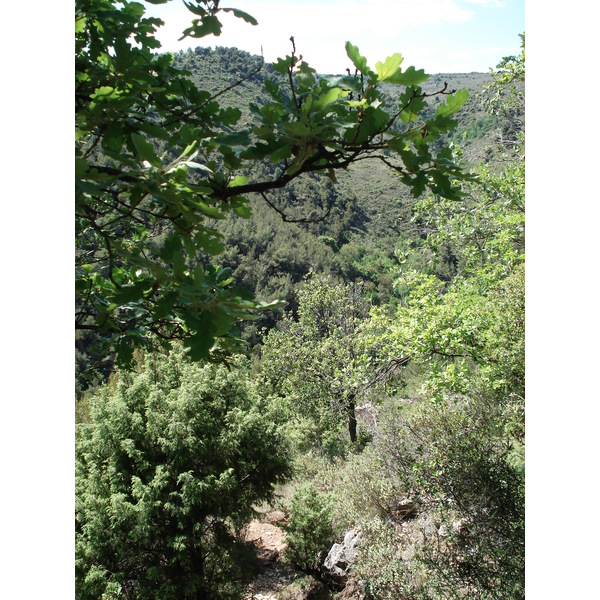รูปถ่าย ฝรั่งเศส(France) วังซ์(Vence) บาอู(Baou) 2006-06 33