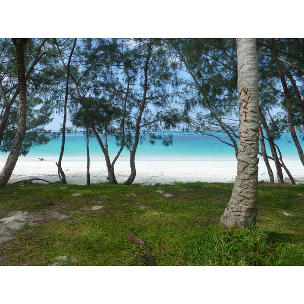 รูปถ่าย นิวแคลิโดเนีย(New Caledonia) เกาะลีฟู(Lifou) อ่าวชาโตบรีย็อง(Chateaubriand Bay) 2010-05 93