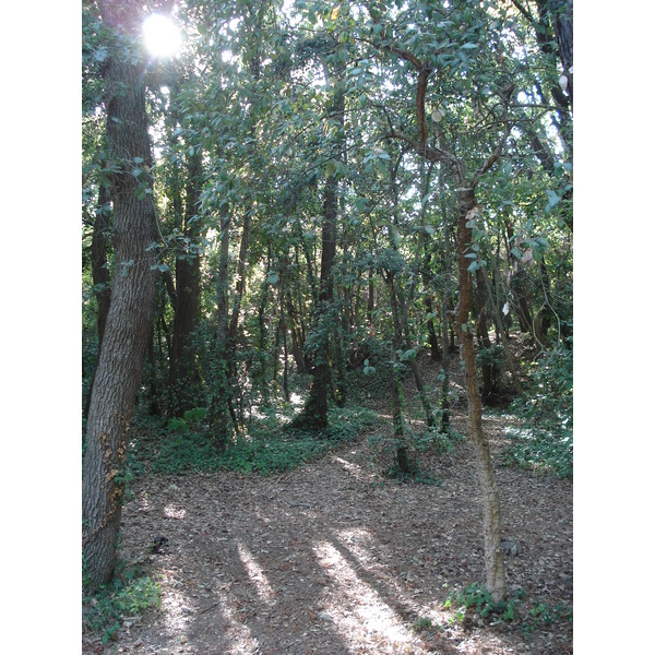 รูปถ่าย ฝรั่งเศส(France) วีลเนิฟ-ลูแบ(Villeneuve Loubet) สวนโวเกรอนีเย(Parc de Vaugrenier) 2006-09 11