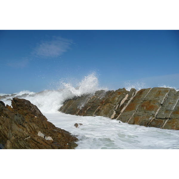 รูปถ่าย แอฟริกาใต้(South Africa) อุทยานแห่งชาติซิตซิคัมมา(Tsitsikamma National Park) 2008-09 401