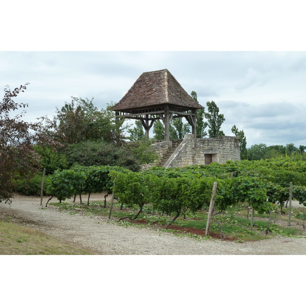 รูปถ่าย ฝรั่งเศส(France) มงบาซียัก(Monbazillac) 2010-08 10