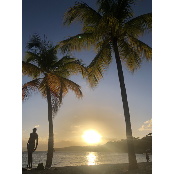 รูปถ่าย กวาเดอลูป(Guadeloupe) หาดลาการาแวล(La Caravelle Beach) 2021-02 91
