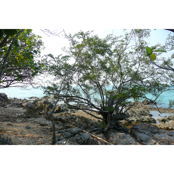 รูปถ่าย ไทย(Thailand) ชลบุรี(Chonburi) หาดทรายแก้ว(Sai Keaw Beach) 2008-01 27