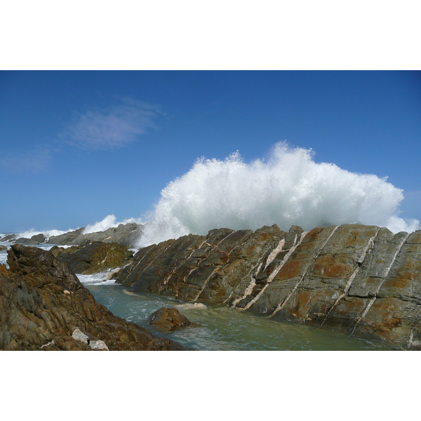 รูปถ่าย แอฟริกาใต้(South Africa) อุทยานแห่งชาติซิตซิคัมมา(Tsitsikamma National Park) 2008-09 139