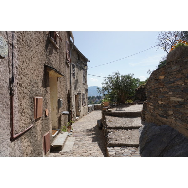 รูปถ่าย ฝรั่งเศส(France) คอร์สิคา(Corsica) เปนตา-ดี-กาซิงกา(Penta-di-Casinca) 2017-09 38