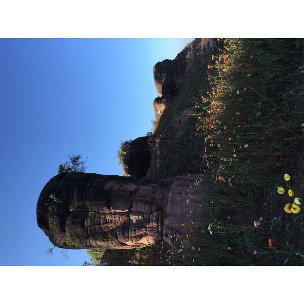 รูปถ่าย ไทย(Thailand) อุทยานแห่งชาติภูหินร่องกล้า(Phu Hin Rong Kla National Park) 2014-12 374