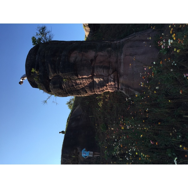 รูปถ่าย ไทย(Thailand) อุทยานแห่งชาติภูหินร่องกล้า(Phu Hin Rong Kla National Park) 2014-12 363