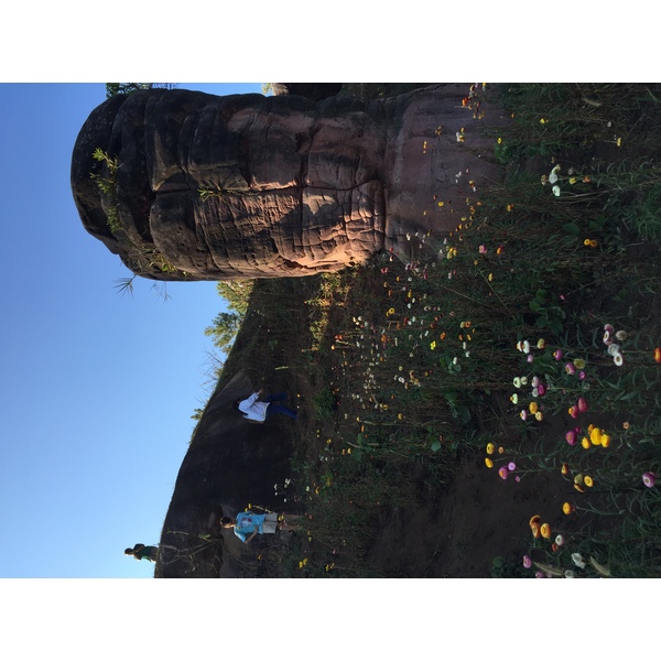 รูปถ่าย ไทย(Thailand) อุทยานแห่งชาติภูหินร่องกล้า(Phu Hin Rong Kla National Park) 2014-12 304