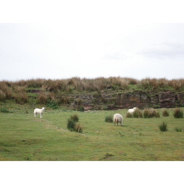 รูปถ่าย อังกฤษ(United Kingdom) อุทยานแห่งชาติเบรคอนบีคอนส์(Brecon Beacons National Park) 2006-05 27