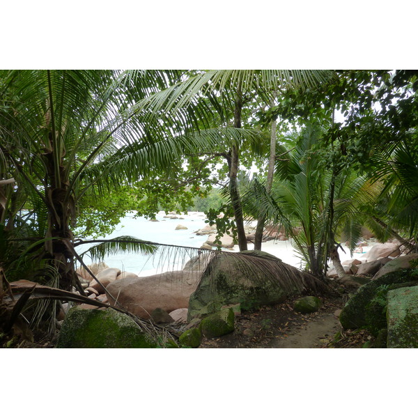 รูปถ่าย เซเชลส์(Seychelles) อ่าวอ็องส์ลาซิโอ(Anse Lazio) 2011-10 112