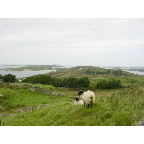 รูปถ่าย ไอร์แลนด์(Ireland) คอนเนอมารา(Connemara) 2003-09 43