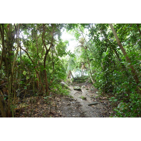 รูปถ่าย เซเชลส์(Seychelles) อ่าวอ็องส์ลาซิโอ(Anse Lazio) 2011-10 111