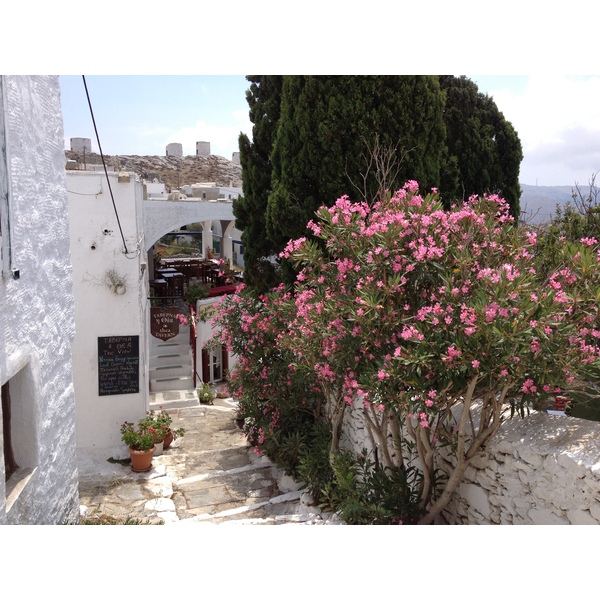 รูปถ่าย กรีก(Greece) เกาะอามอร์กอส(Amorgos) 2014-07 78
