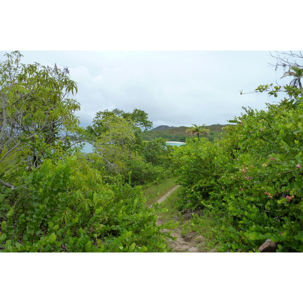รูปถ่าย เซเชลส์(Seychelles) อ่าวอ็องส์ลาซิโอ(Anse Lazio) 2011-10 129