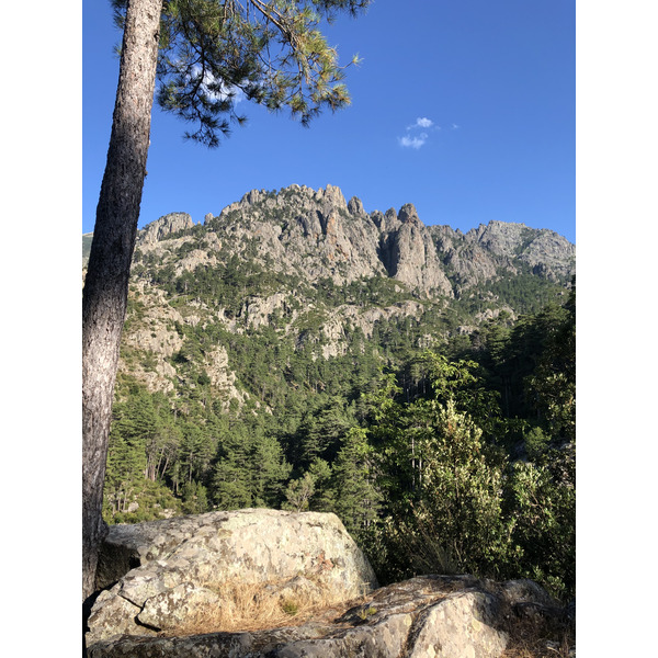 รูปถ่าย ฝรั่งเศส(France) คอร์สิคา(Corsica) หุบเขาลาเรสโตนีกา(La Restonica) 2020-07 123
