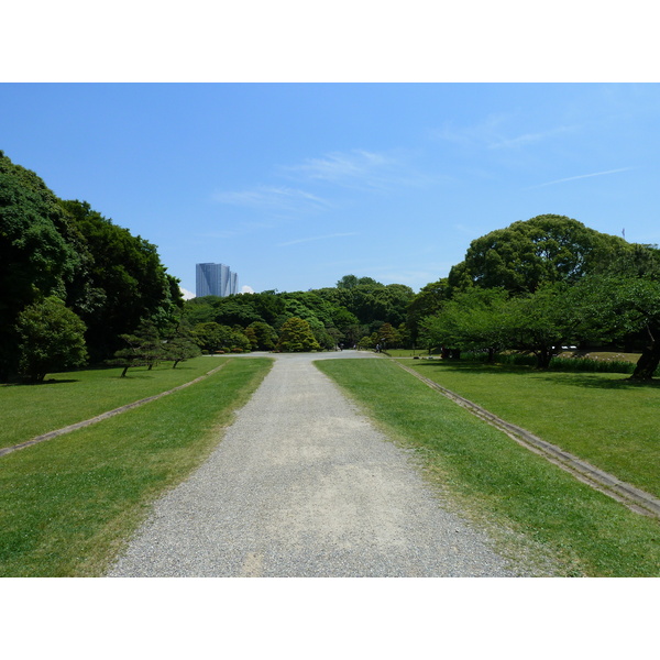 รูปถ่าย ญี่ปุ่น(Japan) โตเกียว(Tokyo) สวนฮามะริคิว(Hama rikyu Gardens) 2010-06 9