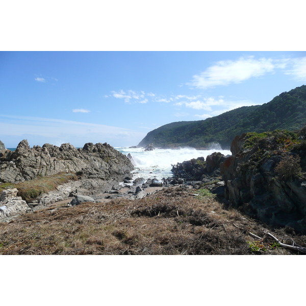 รูปถ่าย แอฟริกาใต้(South Africa) อุทยานแห่งชาติซิตซิคัมมา(Tsitsikamma National Park) 2008-09 478
