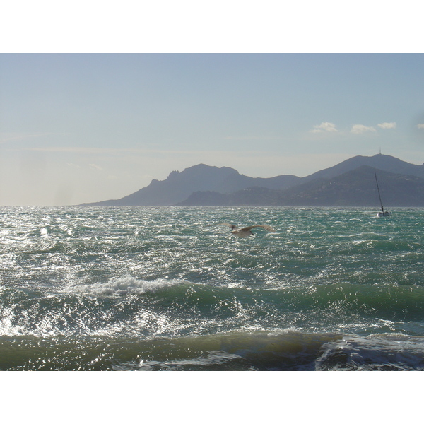 รูปถ่าย ฝรั่งเศส(France) คานส์(Cannes) 2005-02 4