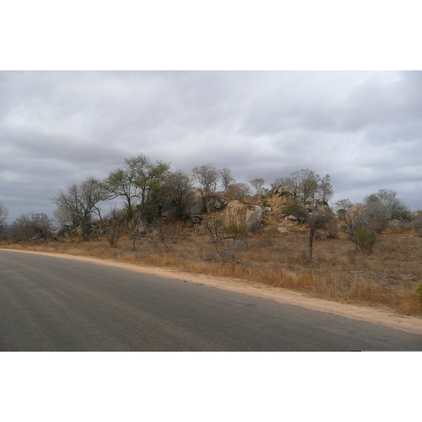 รูปถ่าย แอฟริกาใต้(South Africa) อุทยานแห่งชาติครูเกอร์(Kruger National Park) 2008-09 181