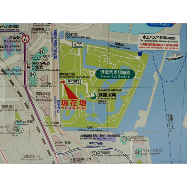 รูปถ่าย ญี่ปุ่น(Japan) โตเกียว(Tokyo) สวนฮามะริคิว(Hama rikyu Gardens) 2010-06 23