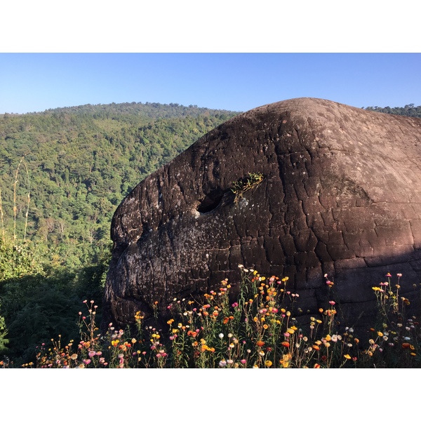 รูปถ่าย ไทย(Thailand) อุทยานแห่งชาติภูหินร่องกล้า(Phu Hin Rong Kla National Park) 2014-12 395