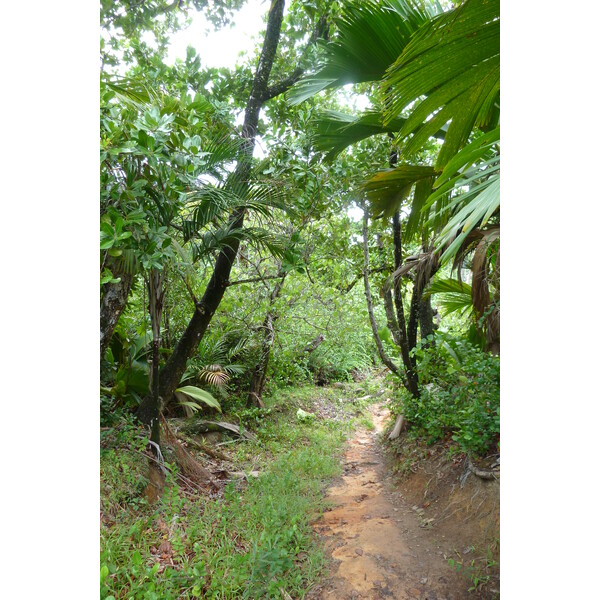รูปถ่าย เซเชลส์(Seychelles) อ่าวอ็องส์ลาซิโอ(Anse Lazio) 2011-10 126