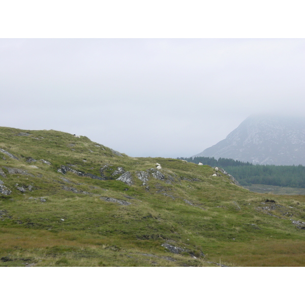 รูปถ่าย ไอร์แลนด์(Ireland) คอนเนอมารา(Connemara) 2003-09 4