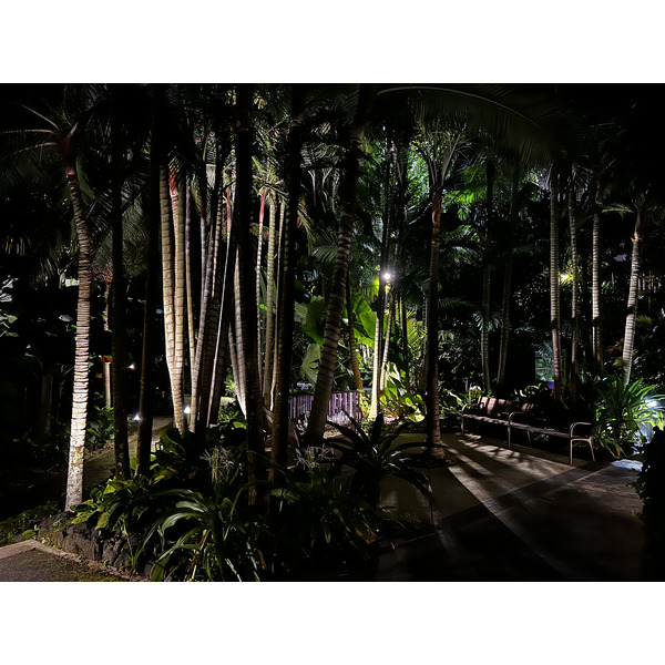 รูปถ่าย สิงคโปร์(Singapore) การ์เดนส์บายเดอะเบย์(Garden by the bay) 2023-01 54