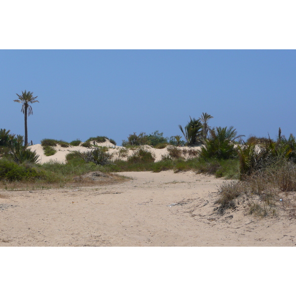 รูปถ่าย อิสราเอล(Israel) นิทซาน(Nitzan) 2007-06 110