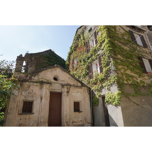 รูปถ่าย ฝรั่งเศส(France) คอร์สิคา(Corsica) เปนตา-ดี-กาซิงกา(Penta-di-Casinca) 2017-09 51