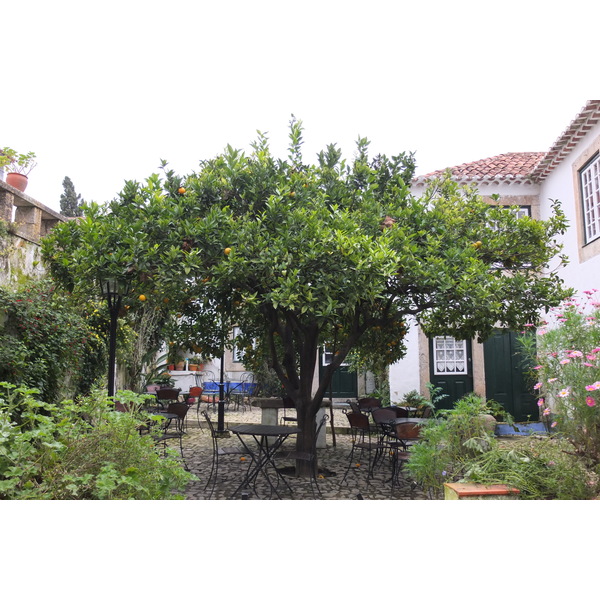รูปถ่าย โปรตุเกส(Portugal) โอบีโดส(Obidos) 2013-01 12