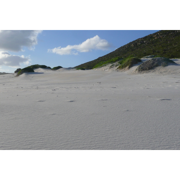 รูปถ่าย แอฟริกาใต้(South Africa) แหลมกู๊ดโฮป(Cape of Good Hope) 2008-09 8