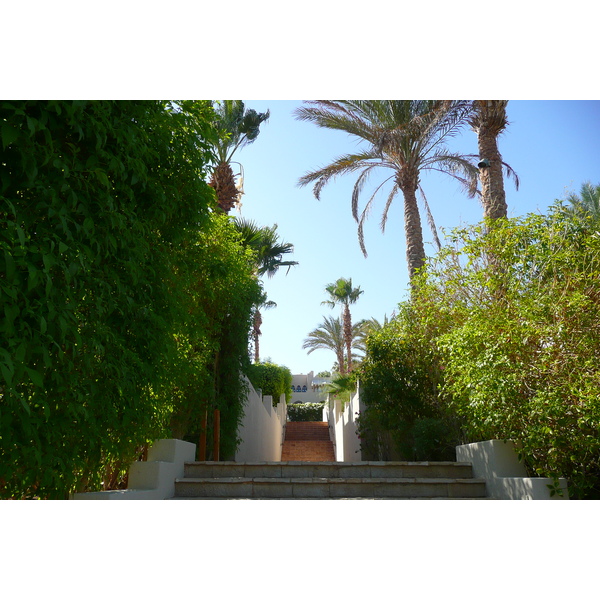รูปถ่าย อียิปต์(Egypt) ชาร์มเอลชีค(Sharm el Sheikh) โรงแรมโฟร์ซีซันส์(Four Seasons Hotel) 2008-06 19