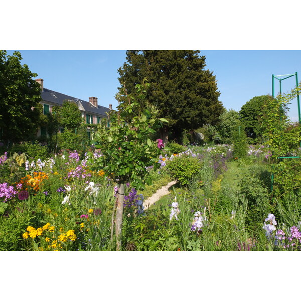 รูปถ่าย ฝรั่งเศส(France) ฌีแวร์นี(Giverny) 2013-06 31