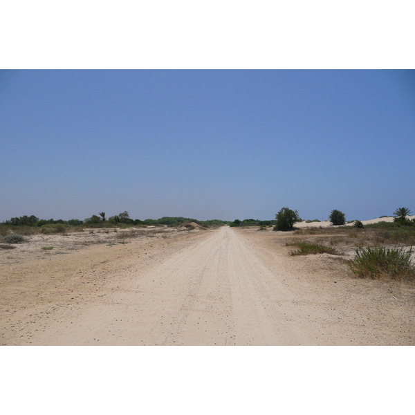 รูปถ่าย อิสราเอล(Israel) นิทซาน(Nitzan) 2007-06 99