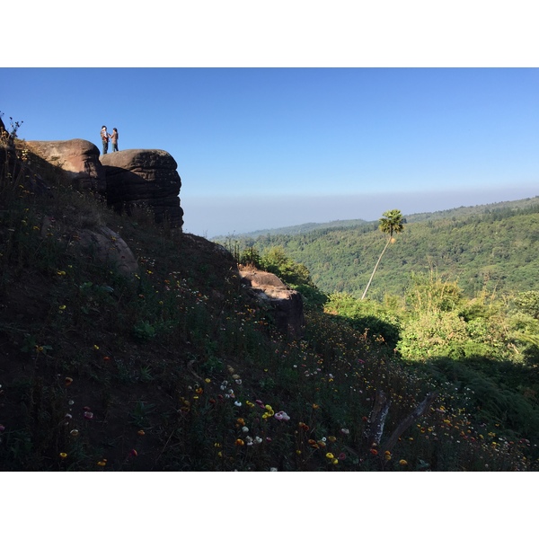รูปถ่าย ไทย(Thailand) อุทยานแห่งชาติภูหินร่องกล้า(Phu Hin Rong Kla National Park) 2014-12 103