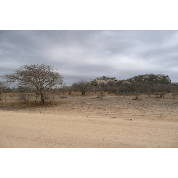รูปถ่าย แอฟริกาใต้(South Africa) อุทยานแห่งชาติครูเกอร์(Kruger National Park) 2008-09 1