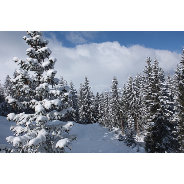 รูปถ่าย ฝรั่งเศส(France) เลทรัววาเล(Les 3 Vallees) 2013-03 129
