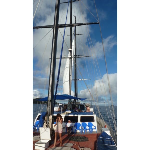 รูปถ่าย เซเชลส์(Seychelles) ซีสตาร์(Sea Star) 2011-10 58