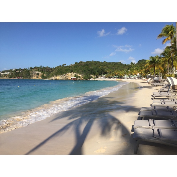 รูปถ่าย กวาเดอลูป(Guadeloupe) หาดลาการาแวล(La Caravelle Beach) 2021-02 100