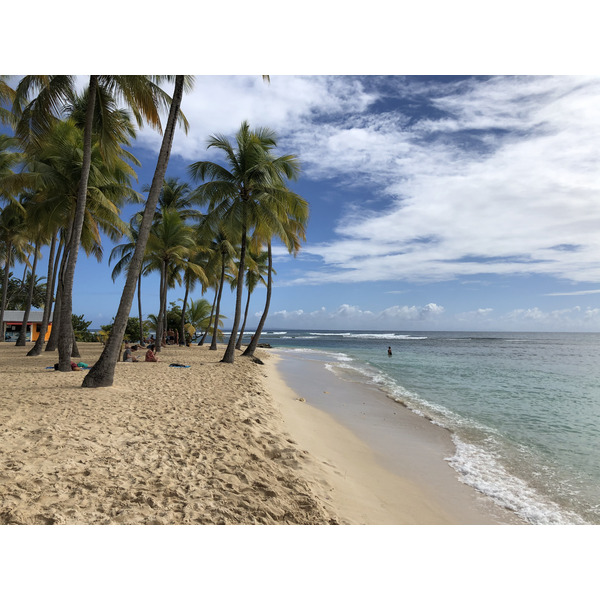 รูปถ่าย กวาเดอลูป(Guadeloupe) หาดลาการาแวล(La Caravelle Beach) 2021-02 63
