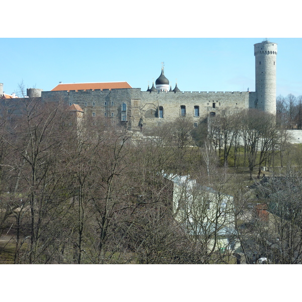 รูปถ่าย เอสโตเนีย(Estonia) ทาลลินน์(Tallinn) 2009-04 45