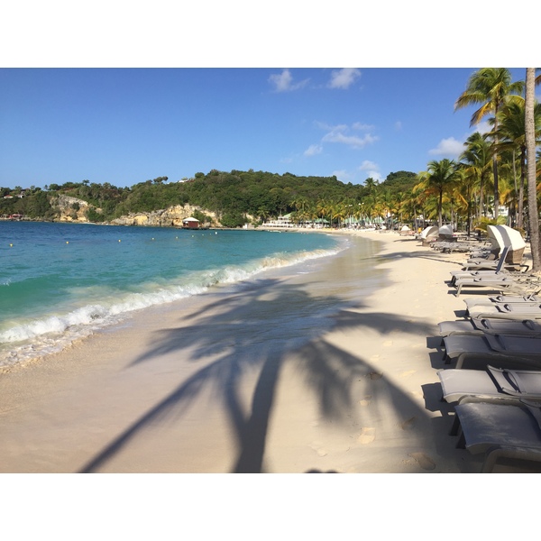 รูปถ่าย กวาเดอลูป(Guadeloupe) หาดลาการาแวล(La Caravelle Beach) 2021-02 108
