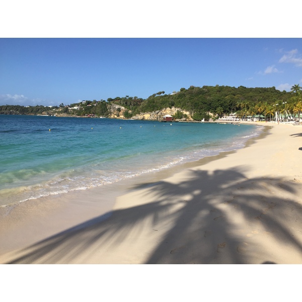 รูปถ่าย กวาเดอลูป(Guadeloupe) หาดลาการาแวล(La Caravelle Beach) 2021-02 78